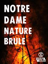 Notre Dame Nature XR (8 affiches)